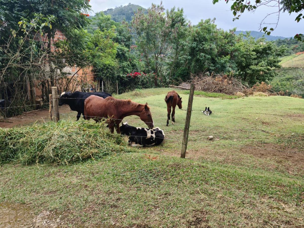 פנדו Pousada Nossa Senhora מראה חיצוני תמונה Cattle and horses in the countryside of El Salvador