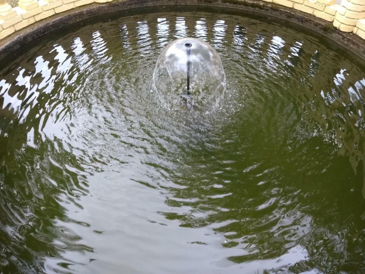 פנדו Pousada Nossa Senhora מראה חיצוני תמונה A fountain in the park